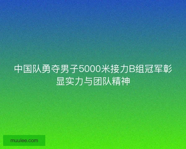 中国队勇夺男子5000米接力B组冠军彰显实力与团队精神